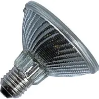Schiefer | Grote fitting E27 | Reflectorlamp | 96mm | 75W