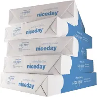 Viking Economy A4 Kopieerpapier 80 g/m² Wit 146 CIE 5 Pakken à 500 Vellen