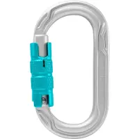 Edelrid Ovale Power 2500 Triple karabiner (Maat One Size, Zilver)