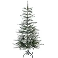Evergreen Cedar, Kiefer, Frost, 150 cm (hoogte), 150 cm (breedte)
