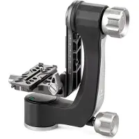 Benro Swing / Gimbal Head w/ Quick Release Plate GH2N