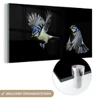 MuchoWow Glasschilderij 80x40 cm - Schilderij acrylglas - Vogel - Veren - Portret - Foto op glas - Schilderijen