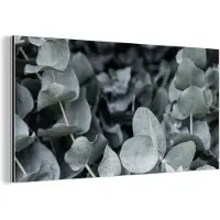 MuchoWow Wanddecoratie Metaal - Aluminium Schilderij Industrieel - Natuur - Planten - Eucalyptus - Bladeren - 120x60 cm - Dibond - Foto op aluminium - Industriële muurdecoratie - Voor de woonkamer/slaapkamer