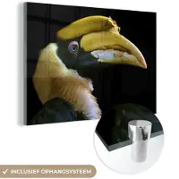 MuchoWow Glasschilderij 30x20 cm - Schilderij acrylglas - Vogel - Snavel - Zwart - Foto op glas - Schilderijen