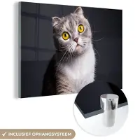 MuchoWow Glasschilderij 90x60 cm - Schilderij acrylglas - Kat - Ogen - Licht - Foto op glas - Schilderijen