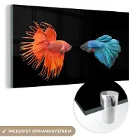 MuchoWow Glasschilderij 80x40 cm - Schilderij acrylglas - Vis - Wilde dieren - Zwart - Foto op glas - Schilderijen