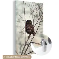MuchoWow Glasschilderij - Uil - Takken - Bloemen - Bruin - Seizoenen - Foto op glas - Muurdecoratie - 40x60 cm - Schilderij glas - Glazen schilderij
