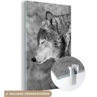 MuchoWow Glasschilderij - Wolf - Dieren - Sneeuw - Winter - Portret - Glazen plaat - Wanddecoratie - 40x60 cm - Foto op glas - Schilderij glas