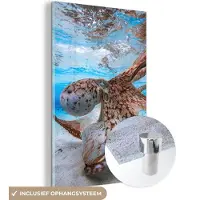MuchoWow Glasschilderij - Octopus - Zeedieren - Onderwater - Zand - Schilderij glas - 20x30 cm - Foto op glas - Wanddecoratie