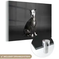 MuchoWow Glasschilderij 60x40 cm - Schilderij acrylglas - Hond - Vlek - Portret - Foto op glas - Schilderijen