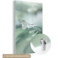 MuchoWow Glasschilderij - Planten - Vlinder - Water - Dieren - Schilderij glas - Foto op glas - 20x30 cm - Muurdecoratie - Glazen plaat