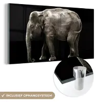 MuchoWow Glasschilderij 80x40 cm - Schilderij acrylglas - Olifant - Wilde dieren - Zwart - Foto op glas - Schilderijen