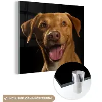 MuchoWow Glasschilderij 50x50 cm - Schilderij acrylglas - Hond - Huisdieren - Portret - Foto op glas - Schilderijen