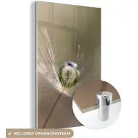 MuchoWow Glasschilderij - Paardenbloem - Bloemen - Planten - Water - Natuur - Foto op glas - 40x60 cm - Schilderij glas