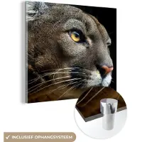 MuchoWow Glasschilderij 50x50 cm - Schilderij acrylglas - Poema - Wilde dieren - Portret - Foto op glas - Schilderijen