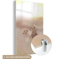 MuchoWow Glasschilderij - Wilde dieren - Cheetah - Landschap - Zon - Foto op glas - Wanddecoratie - 80x120 cm - Glazen plaat- Murdecoratie