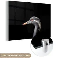 MuchoWow Glasschilderij 120x80 cm - Schilderij acrylglas - Vogel - Dieren - Portret - Foto op glas - Schilderijen