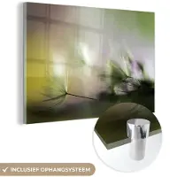 MuchoWow Glasschilderij - Bloemen - Paardenbloem - Ochtend - Natuur - Foto op glas - Schilderij glas - 120x80 cm - Wanddecoratie