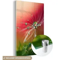 MuchoWow Glasschilderij - Paardenbloem - Gras - Water - Rood - Bloemen - Foto op glas - 20x30 cm - Schilderij glas