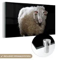 MuchoWow Glasschilderij 120x60 cm - Schilderij acrylglas - Schaap - Boerderijdieren - Zwart - Foto op glas - Schilderijen