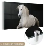 MuchoWow Glasschilderij 120x60 cm - Schilderij acrylglas - Paarden - Zwart - Portret - Foto op glas - Schilderijen