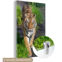 MuchoWow Glasschilderij 40x60 cm - Schilderij acrylglas - Tijger - Gras - Dieren - Foto op glas - Schilderijen
