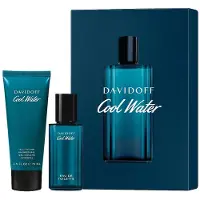 Davidoff Herengeuren Cool Water Cadeauset Eau de Toilette Spray 40 ml + All-In-One Shower Gel 75 ml
