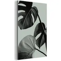 MuchoWow Wanddecoratie Metaal - Aluminium Schilderij Industrieel - Monstera - Bladeren - Groen - Stilleven - 120x180 cm - Dibond - Foto op aluminium - Industriële muurdecoratie - Voor de woonkamer/slaapkamer