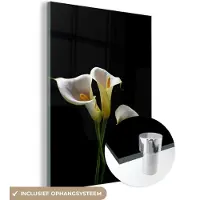 MuchoWow Glasschilderij 120x160 cm - Schilderij acrylglas - Planten - Bloemen - Wit - Natuur - Botanisch - Foto op glas - Schilderijen
