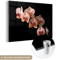 MuchoWow Glasschilderij 120x80 cm - Schilderij acrylglas - Bloemen - Orchidee - Roze - Botanisch - Natuur - Foto op glas - Schilderijen