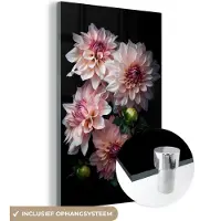 MuchoWow Glasschilderij 120x180 cm - Schilderij acrylglas - Dahlia - Wit - Bloemen - Roze - Natuur - Foto op glas - Schilderijen