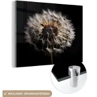 MuchoWow Glasschilderij 40x30 cm - Schilderij acrylglas - Bloemen - Natuur - Paardenbloem - Zwart - Portret - Foto op glas - Schilderijen
