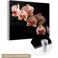 MuchoWow Glasschilderij 40x30 cm - Schilderij acrylglas - Bloemen - Orchidee - Roze - Botanisch - Natuur - Foto op glas - Schilderijen