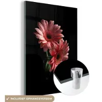MuchoWow Glasschilderij 30x40 cm - Schilderij acrylglas - Bloemen - Gerbera - Roze - Natuur - Portret - Foto op glas - Schilderijen
