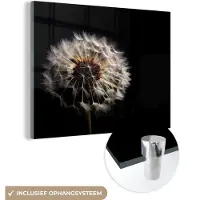 MuchoWow Glasschilderij 160x120 cm - Schilderij acrylglas - Bloemen - Natuur - Paardenbloem - Zwart - Portret - Foto op glas - Schilderijen