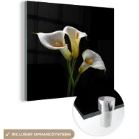MuchoWow Glasschilderij 20x20 cm - Schilderij acrylglas - Planten - Bloemen - Wit - Natuur - Botanisch - Foto op glas - Schilderijen