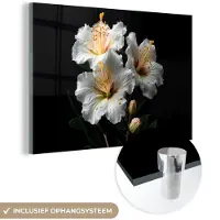 MuchoWow Glasschilderij 120x80 cm - Schilderij acrylglas - Bloemen - Wit - Hibiscus - Natuur - Zwart - Foto op glas - Schilderijen