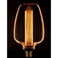 Expo Deco led kooldraad 43F 11x20cm 1w/2.5w/5w 3 standen E27 1800k amber/goud glas 40-100-200l 3 stappen dimbaar