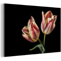 MuchoWow Wanddecoratie Metaal - Aluminium Schilderij Industrieel - Tulpen - Bloemen - Roze - Wit - Natuur - 90x60 cm - Dibond - Foto op aluminium - Industriële muurdecoratie - Voor de woonkamer/slaapkamer