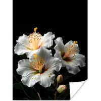 PosterMonkey Poster Bloemen - Wit - Hibiscus - Natuur - Zwart - 60x80 cm