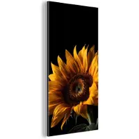 MuchoWow Wanddecoratie Metaal - Aluminium Schilderij Industrieel - Bloemen - Botanisch - Zwart - Zonnebloem - 80x160 cm - Dibond - Foto op aluminium - Industriële muurdecoratie - Voor de woonkamer/slaapkamer
