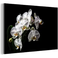 MuchoWow Wanddecoratie Metaal - Aluminium Schilderij Industrieel - Orchidee - Bloemen - Wit - Natuur - Zwart - 180x120 cm - Dibond - Foto op aluminium - Industriële muurdecoratie - Voor de woonkamer/slaapkamer