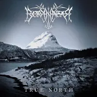 Borknagar CD - True north - voor Geen - standaard - Maat Standard