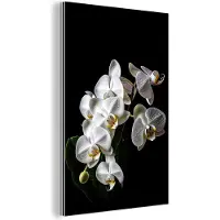 MuchoWow Wanddecoratie Metaal - Aluminium Schilderij Industrieel - Orchidee - Bloemen - Wit - Natuur - Zwart - 120x180 cm - Dibond - Foto op aluminium - Industriële muurdecoratie - Voor de woonkamer/slaapkamer