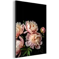 MuchoWow Wanddecoratie Metaal - Aluminium Schilderij Industrieel - Pioenrozen - Bloemen - Natuur - Roze - Wit - 60x80 cm - Dibond - Foto op aluminium - Industriële muurdecoratie - Voor de woonkamer/slaapkamer