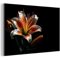 MuchoWow Wanddecoratie Metaal - Aluminium Schilderij Industrieel - Bloemen - Lelie - Oranje - Portret - Zwart - 30x20 cm - Dibond - Foto op aluminium - Industriële muurdecoratie - Voor de woonkamer/slaapkamer