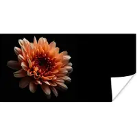 PosterMonkey Poster Bloemen - Oranje - Natuur - Chrysant - Zwart - 80x40 cm