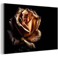 MuchoWow Wanddecoratie Metaal - Aluminium Schilderij Industrieel - Roos - Goud - Bloemen - Botanisch Zwart - 60x40 cm - Dibond - Foto op aluminium - Industriële muurdecoratie - Voor de woonkamer/slaapkamer