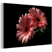 MuchoWow Wanddecoratie Metaal - Aluminium Schilderij Industrieel - Bloemen - Gerbera - Roze - Natuur - Portret - 90x60 cm - Dibond - Foto op aluminium - Industriële muurdecoratie - Voor de woonkamer/slaapkamer