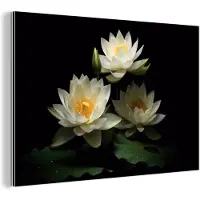 MuchoWow Wanddecoratie Metaal - Aluminium Schilderij Industrieel - Lotus - Bloemen - Wit - Natuur - Zwart - 180x120 cm - Dibond - Foto op aluminium - Industriële muurdecoratie - Voor de woonkamer/slaapkamer